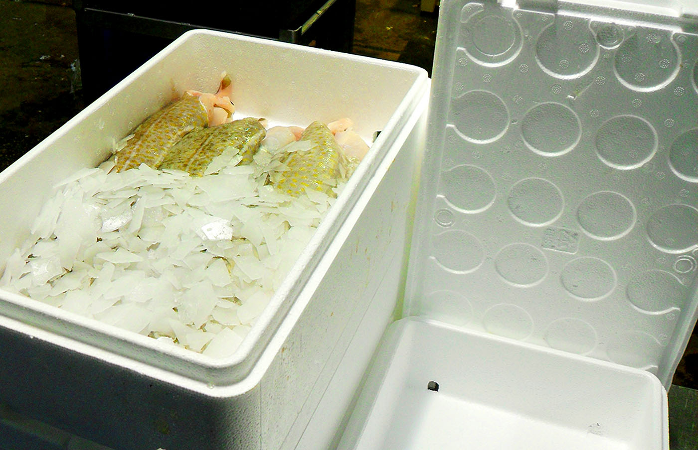 Fish boxes made from EPS expanded polystyrene airpop keep fish fresh for longer