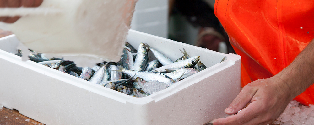 expanded polystyrene EPS fish boxes