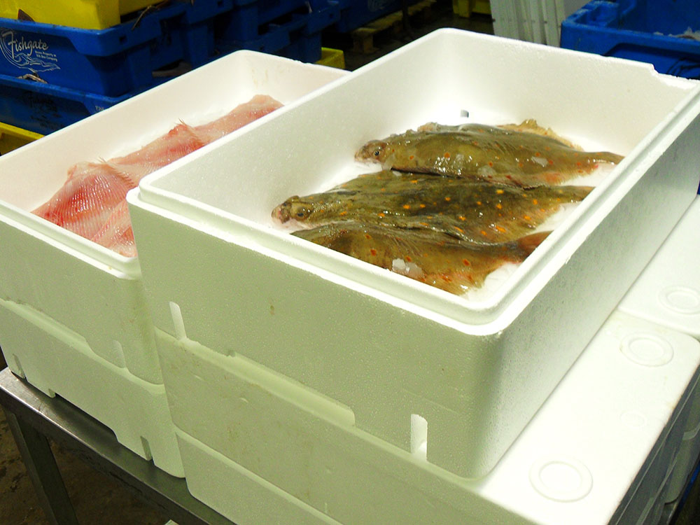Fish boxes made from EPS expanded polystyrene airpop keep fish fresh for longer