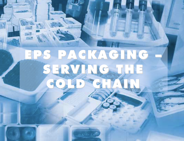 Ecopse Publication on EPS Packaging Serving the Cold Chain