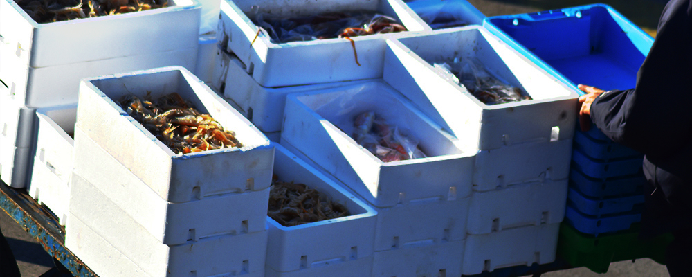 expanded polystyrene EPS fish boxes